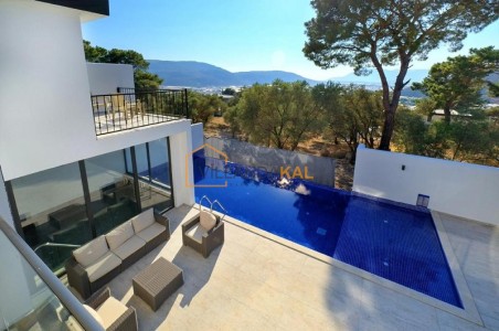 Villa Coriander